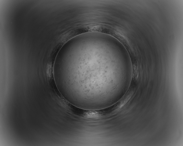 X0000088650189200705251509