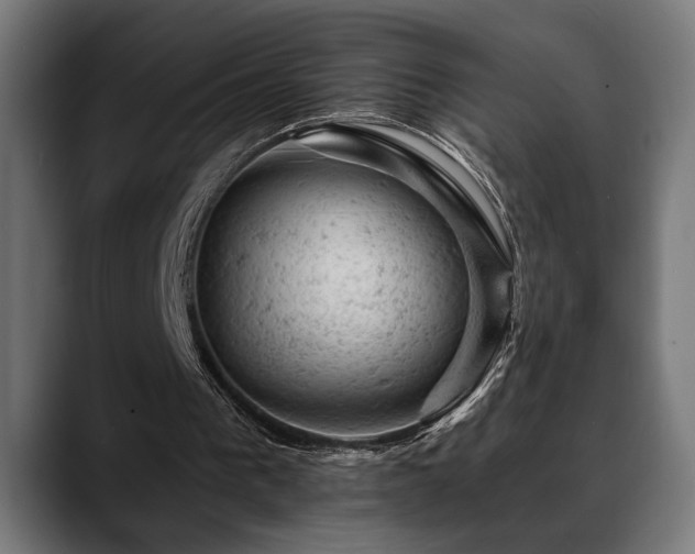 X0000088650193200705251509