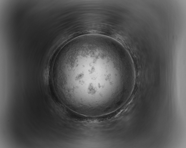 X0000088650194200705251509