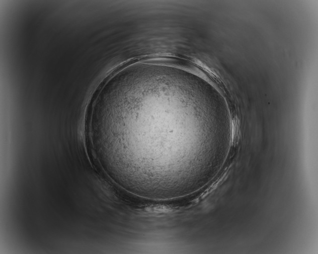 X0000088650195200705251509