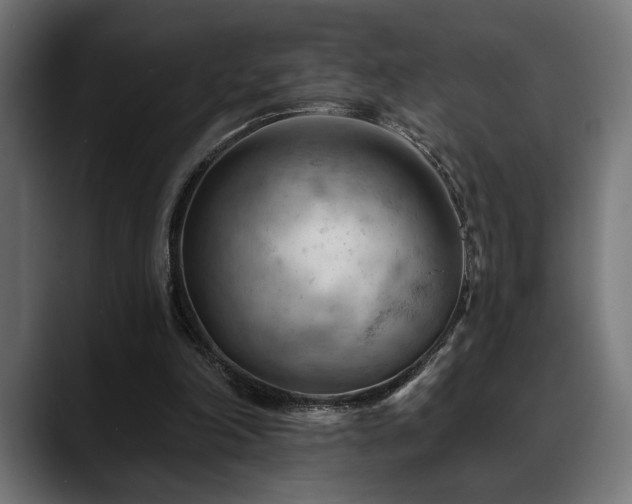 X0000088650198200705251509