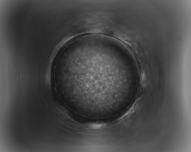 X0000088650200200705251509