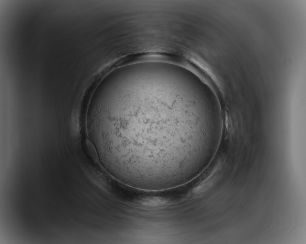 X0000088650203200705251509