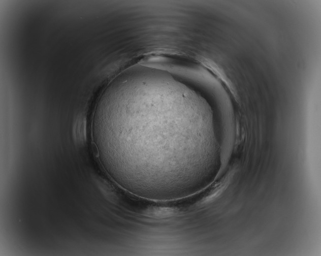 X0000088650205200705251509