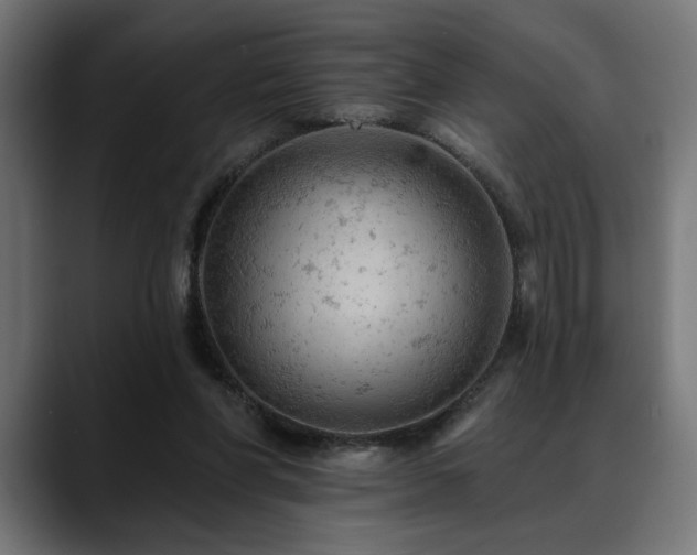 X0000088650206200705251509