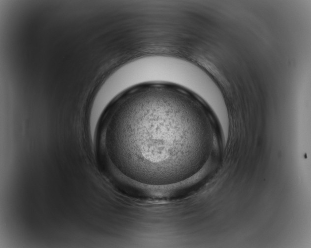 X0000088650207200705251509