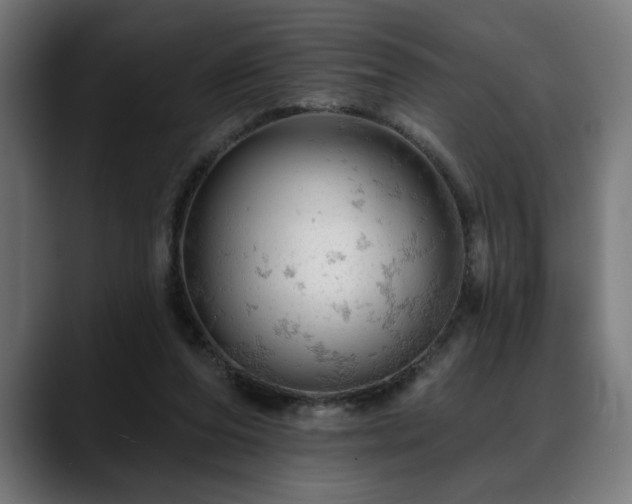 X0000088650208200705251509