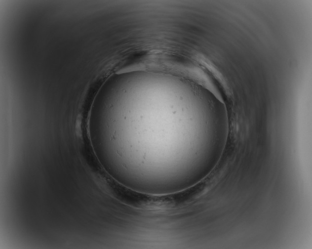 X0000088650209200705251509