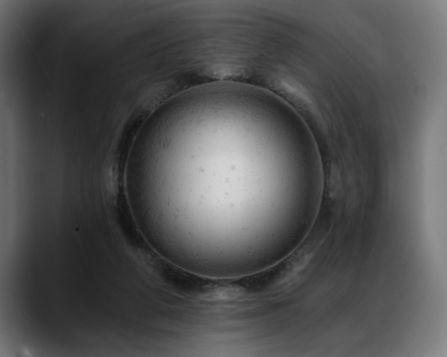 X0000088650210200705251508
