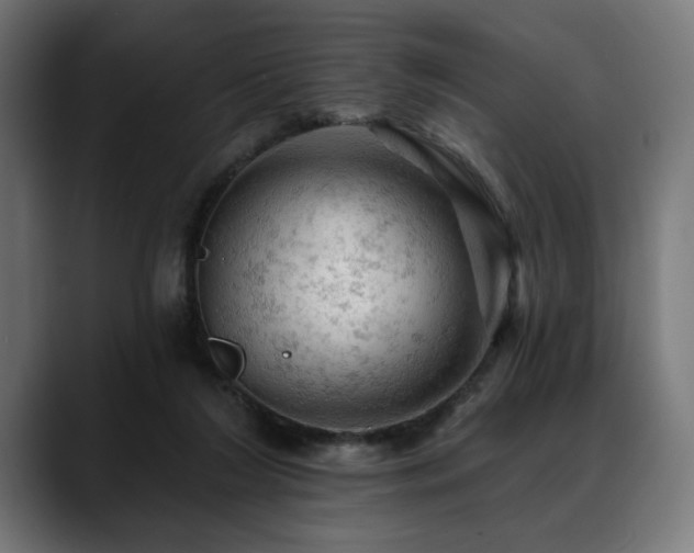 X0000088650212200705251508