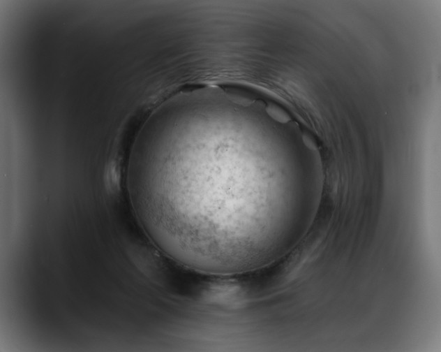 X0000088650214200705251508