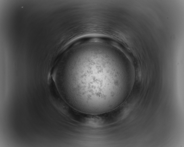 X0000088650215200705251508
