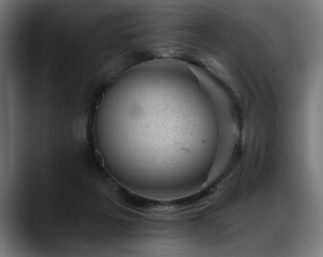 X0000088650217200705251508