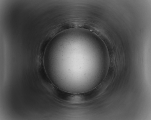 X0000088650218200705251508