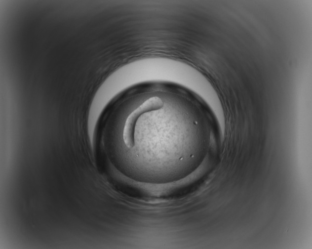 X0000088650219200705251508