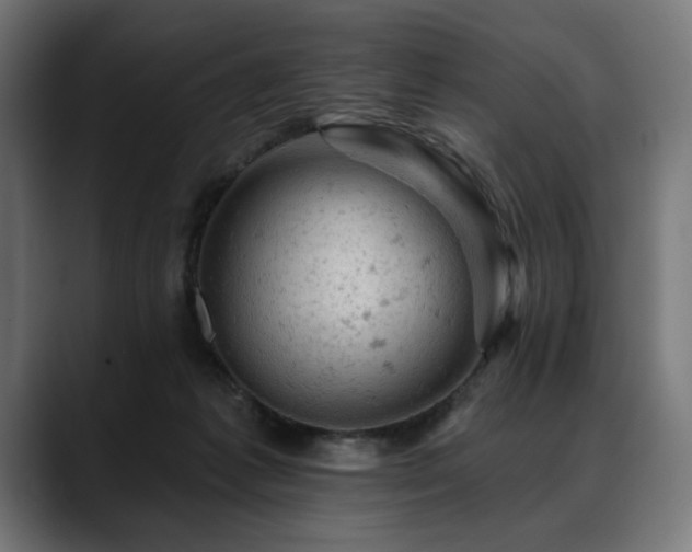 X0000088650221200705251508