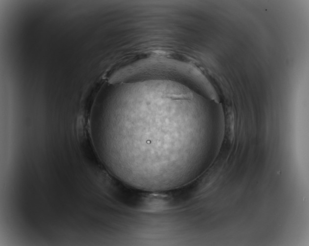 X0000088650222200705251508