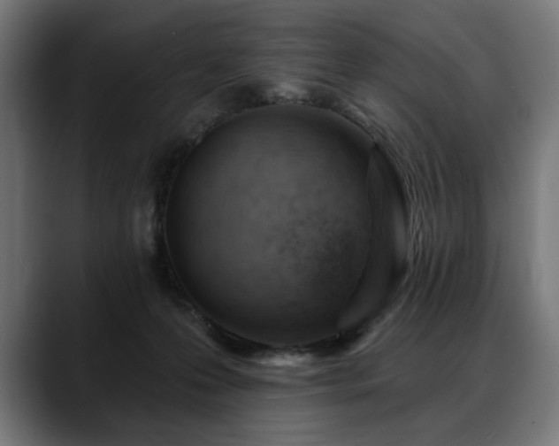 X0000088650223200705251508
