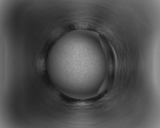 X0000088650224200705251508