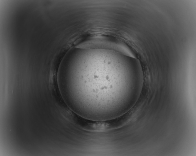 X0000088650225200705251508