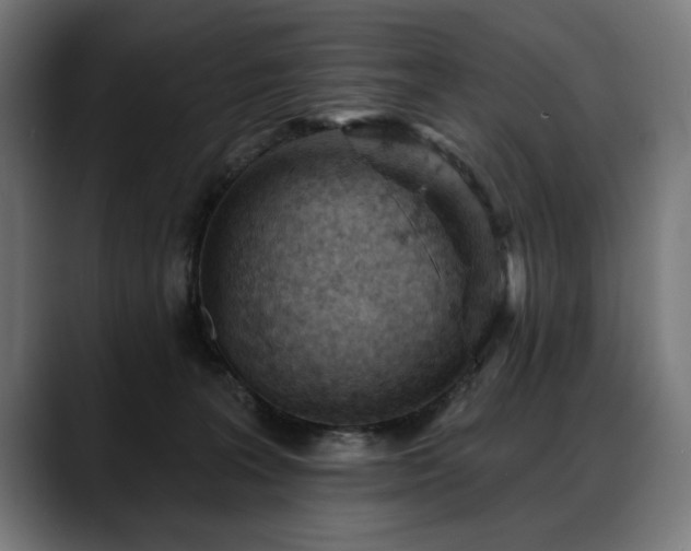 X0000088650227200705251508