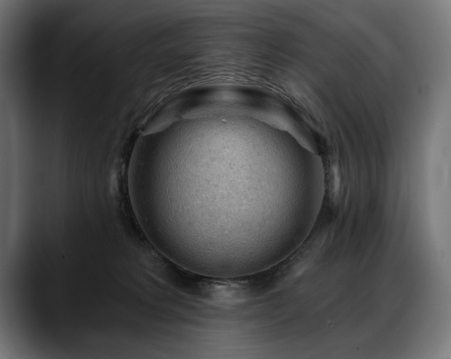 X0000088650229200705251508