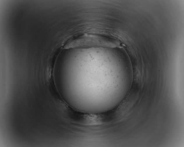 X0000088650230200705251508