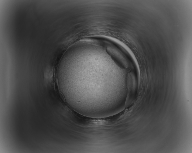 X0000088650233200705251508