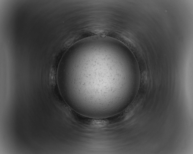 X0000088650234200705251508