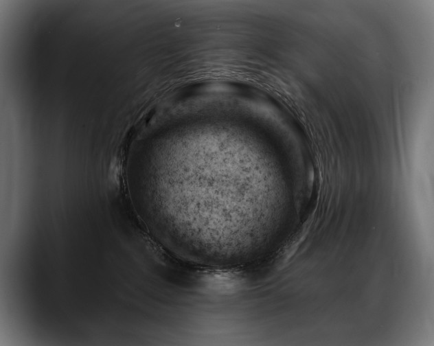 X0000088650235200705251508
