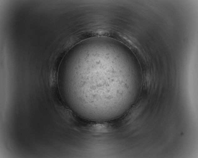 X0000088650236200705251508