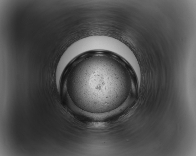 X0000088650237200705251508