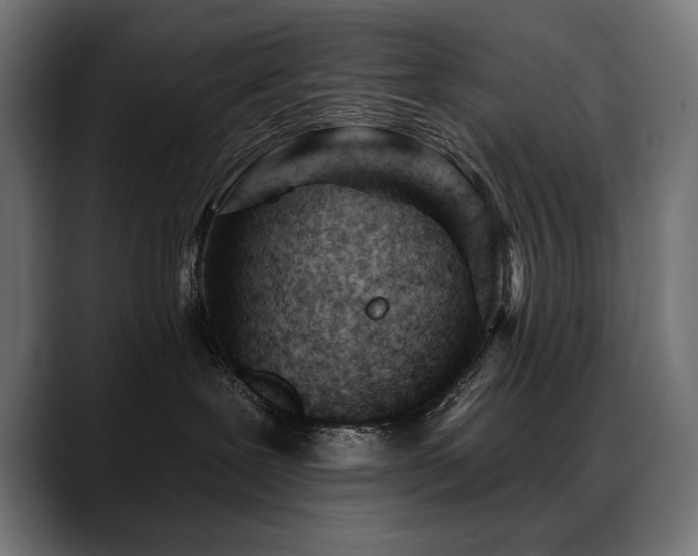 X0000088650239200705251508