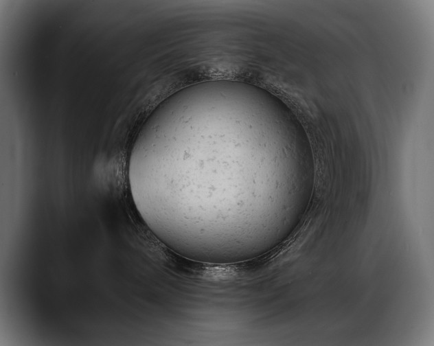 X0000088650240200705251508