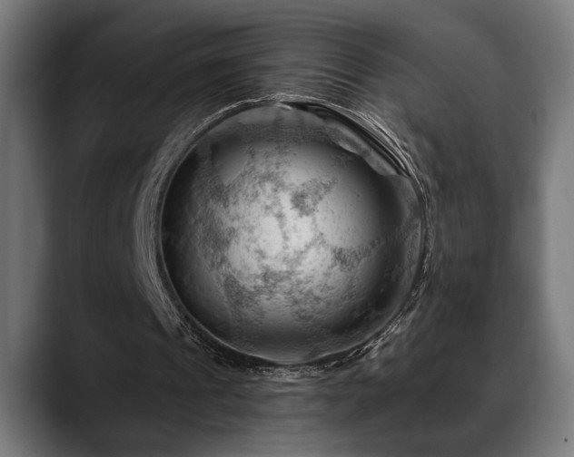 X0000088650241200705251507