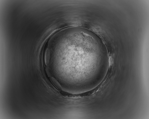 X0000088650243200705251507