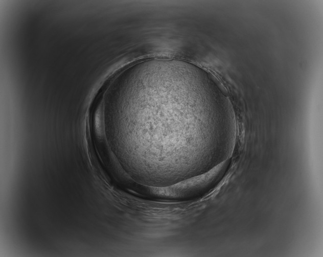 X0000088650244200705251507