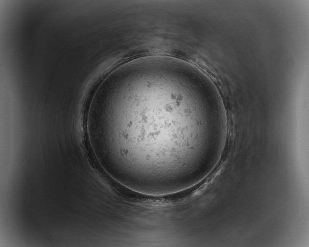 X0000088650245200705251507