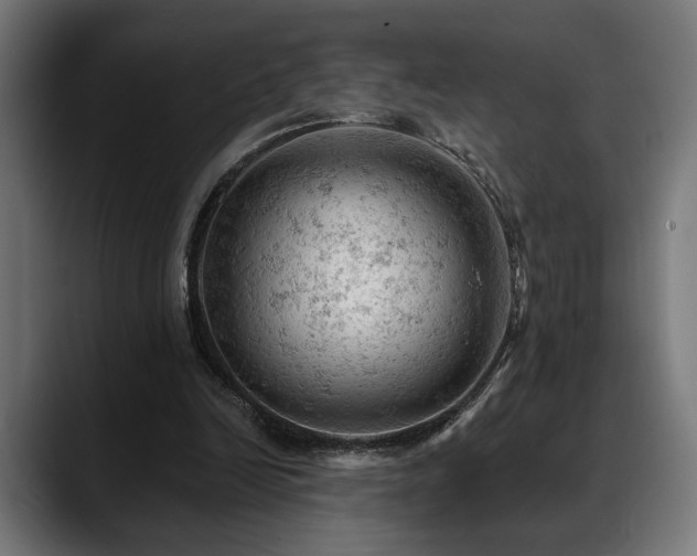 X0000088650246200705251507