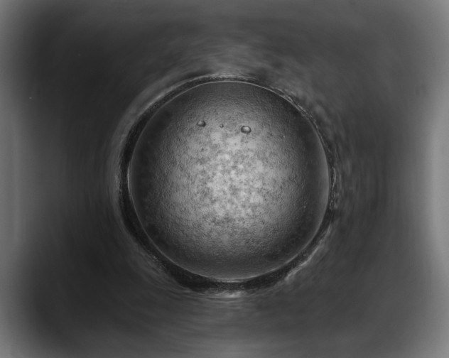 X0000088650247200705251507