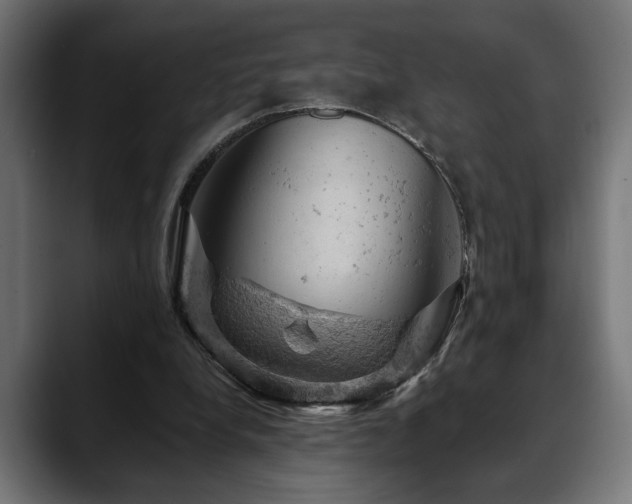 X0000088650248200705251507
