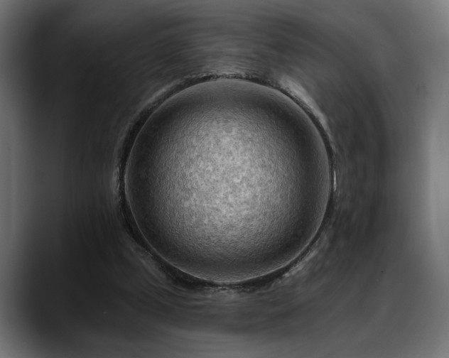 X0000088650249200705251507