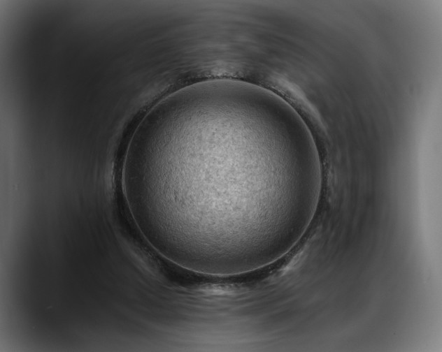 X0000088650250200705251507