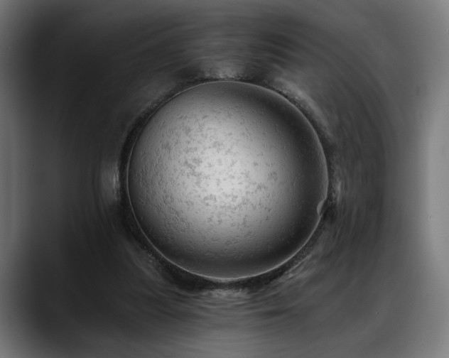 X0000088650251200705251507