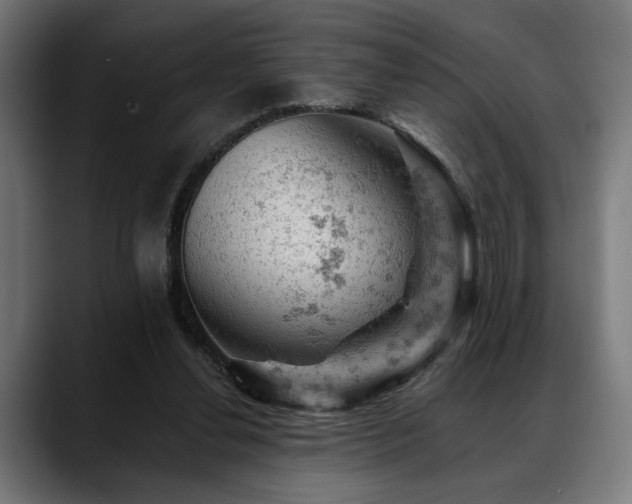 X0000088650252200705251507