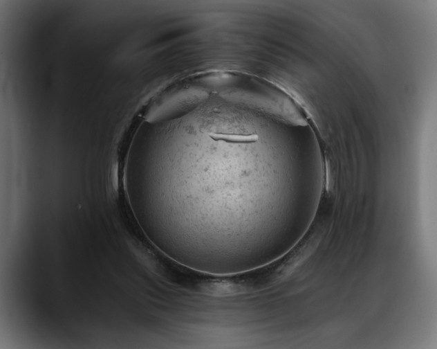 X0000088650253200705251507