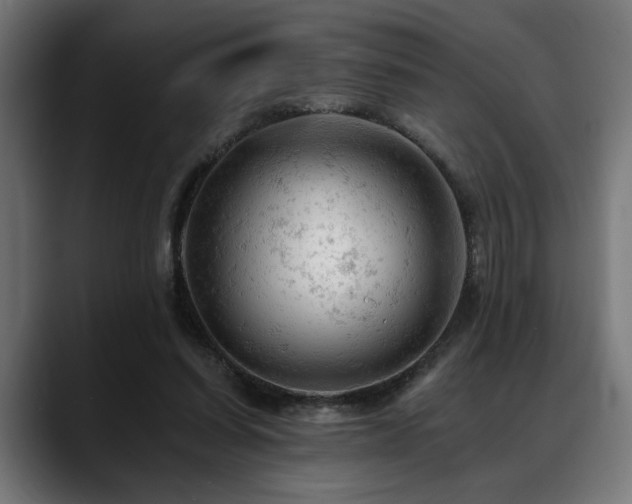 X0000088650254200705251507