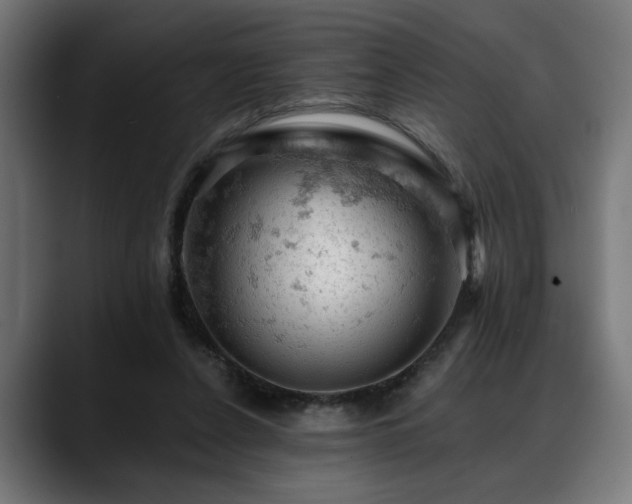 X0000088650256200705251508