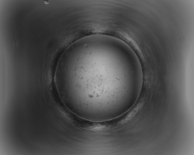 X0000088650257200705251508