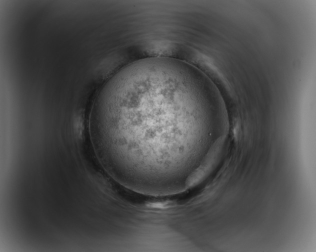 X0000088650259200705251508
